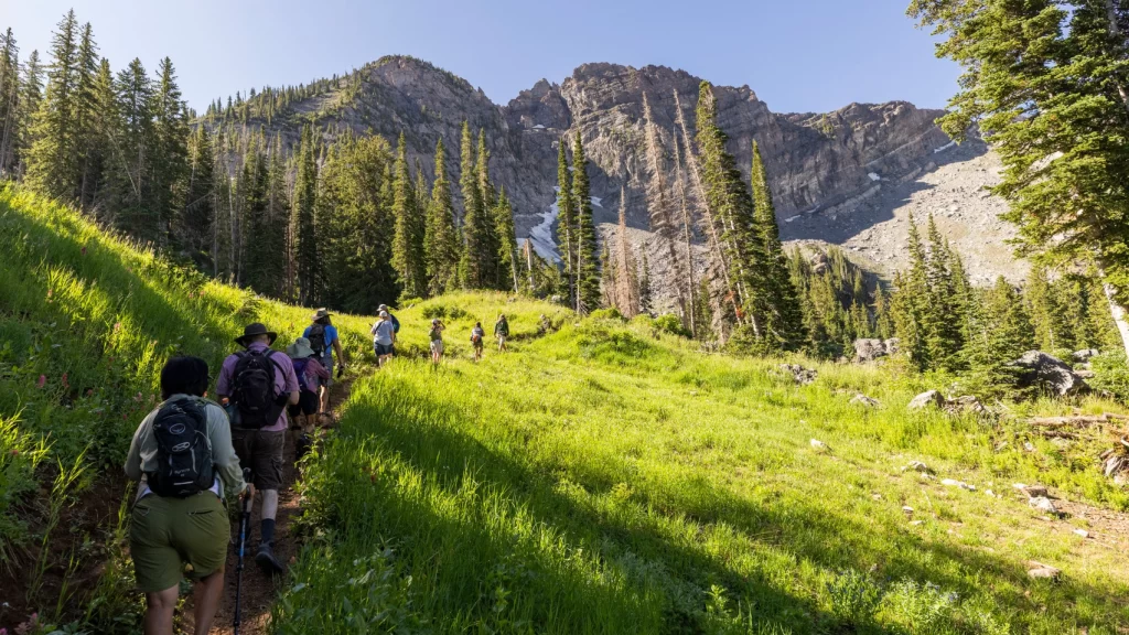 taking new territories